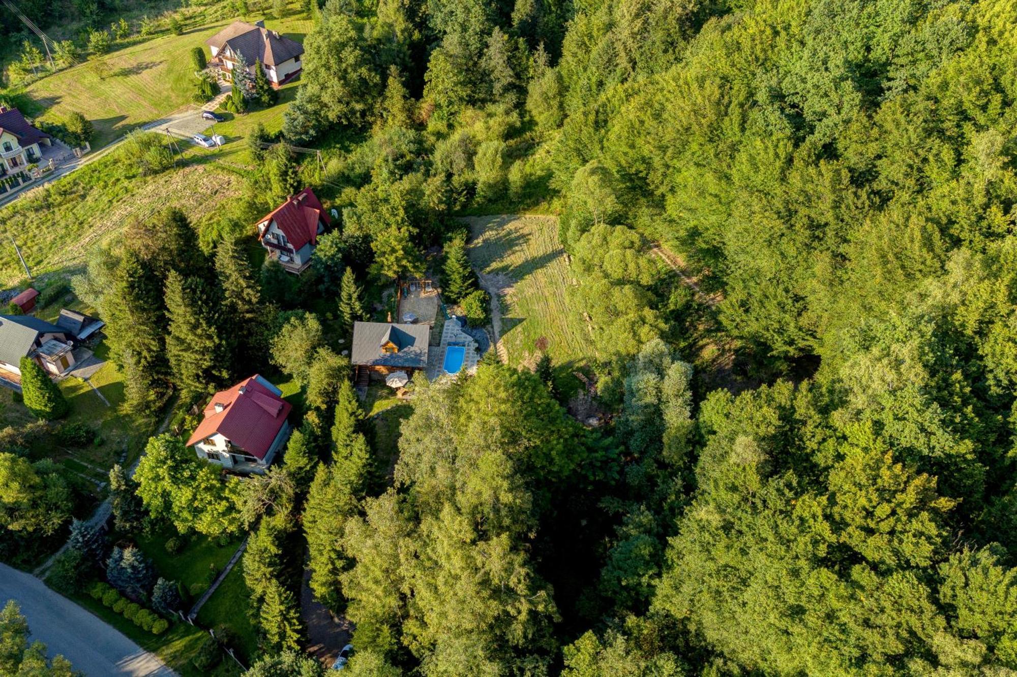 Polana Slowikowa 5 Star- Domek W Gorach Z Jacuzzi, Sauna,Basen,Ogrod Z Lasem, Kominek I Narty Stroza  Exteriér fotografie
