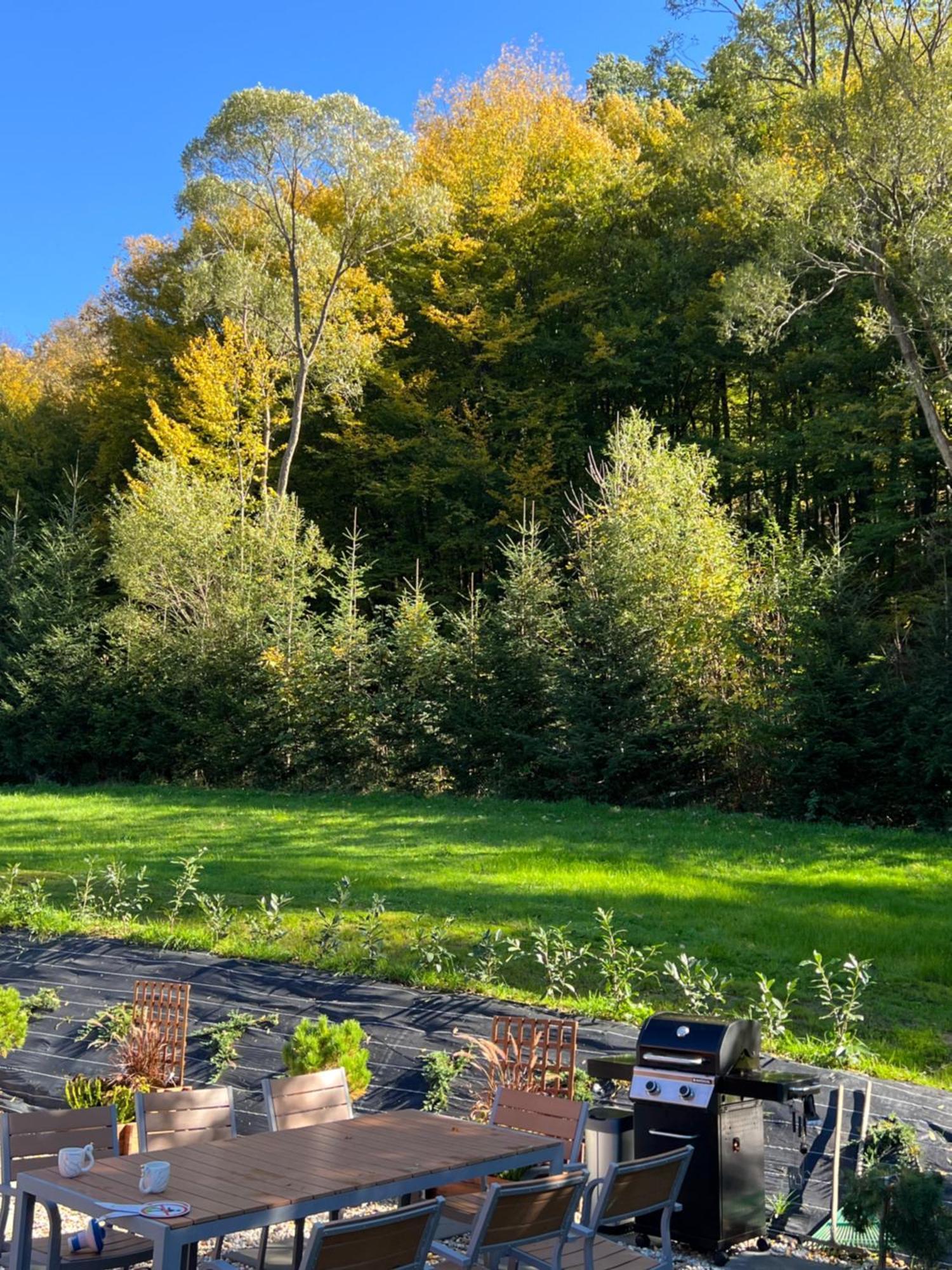Polana Slowikowa 5 Star- Domek W Gorach Z Jacuzzi, Sauna,Basen,Ogrod Z Lasem, Kominek I Narty Stroza  Exteriér fotografie